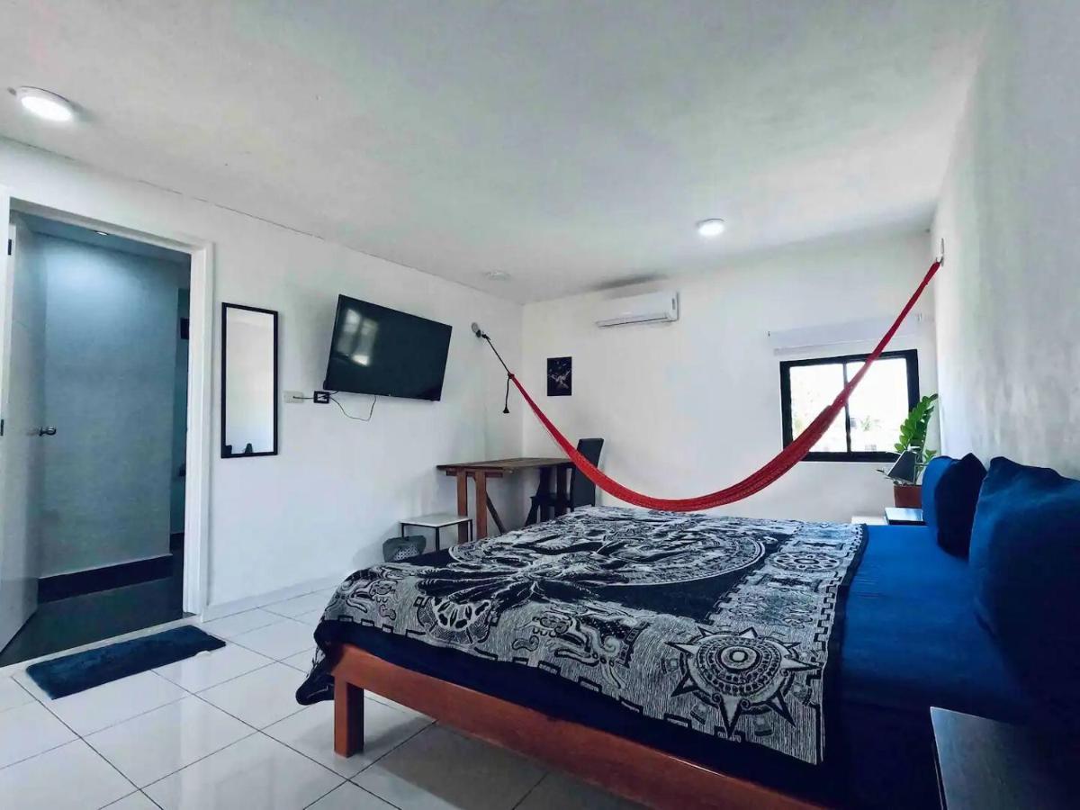 La Perle Noire - Dive Hotel Cozumel Eksteriør billede